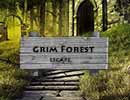 Grim Forest