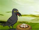 Crow Eggs