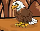Hungry Eagle