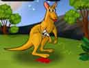 Save the Kangaroo