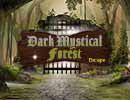 Dark Mystical Forest