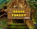 365 Dense Forest Escape