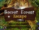 Secret Forest