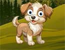 Missing Puppy