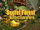 Secret Forest Enclave