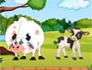 Young Calf
