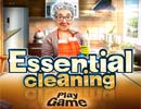 Essential Cleaning
