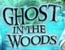 Ghost in the Woods