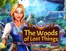 Lost Things