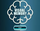 Visual Memory