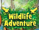 Wildlife Adventure