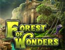 Wonder Forest