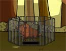Bison in a Cage