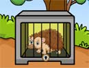 Brown Hedgehog