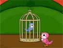Caged Lovebirds