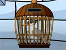 Crested Tern