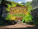 Jungle House