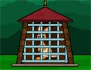 Kangaroo in a Cage