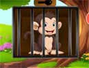 Monkey Prison