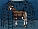 Save the Okapi