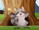 Free the Raccoon