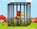 Red Bird