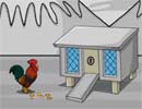 Rooster Family