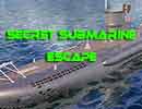Secret Submarine