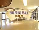 365 Shopping Mall Escape