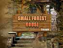 Small Forest House