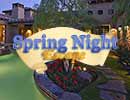 Spring Night