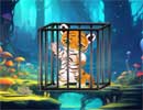 Tiger Cub