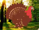 Save the Turkeys