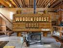 Wooden Forest House