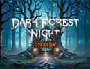 Dark Forest Night